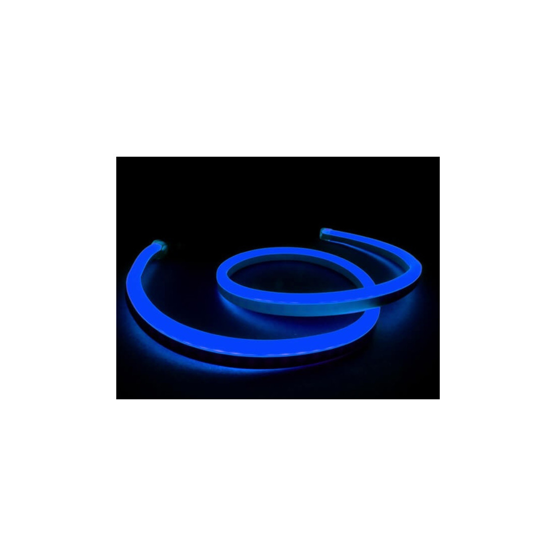 Neon Flex LED, 4.8W/m, Albastru, IP65, 220V