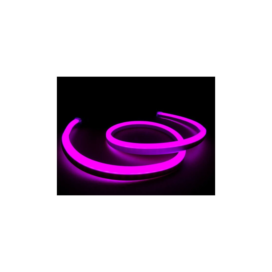 Neon Flex LED 220V, 4.8W/m, Magenta, IP65