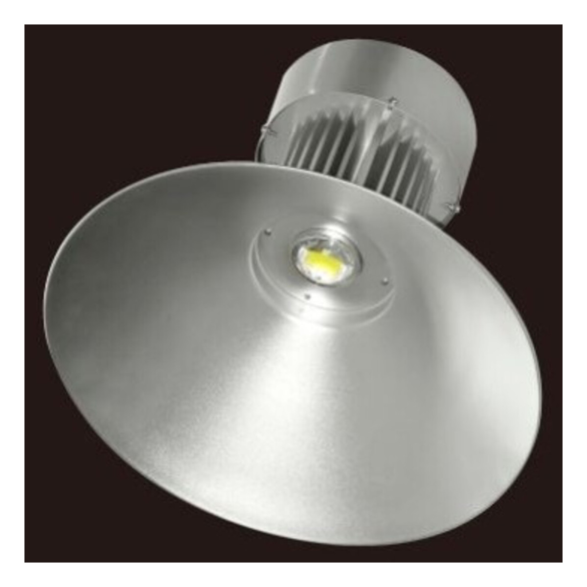 Lampa LED Industriala 100W, COB, IP65, 220V