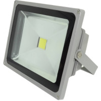 Proiector LED 30W, Alb Rece, IP65, 220V, COB