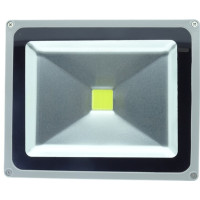 Proiector LED 30W, Alb Rece, IP65, 220V, COB - 3