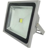 Proiector LED 50W, Alb Rece, IP65, COB