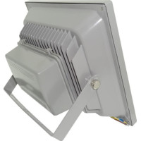 Proiector LED 50W, Alb Rece, IP65, COB - 6