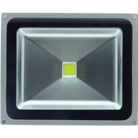 Proiector LED 50W, Alb Rece, IP65, COB - 3