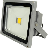 Proiector LED 30W, Alb Cald, IP65, COB - 1