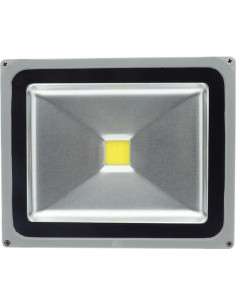 Proiector LED 30W, Alb Cald, IP65, COB