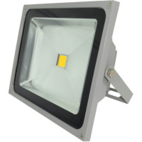 Proiector LED 50W, Alb Cald, IP65