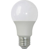 Bec Glob LED 9W, E27, A60, Lumina Alba Rece