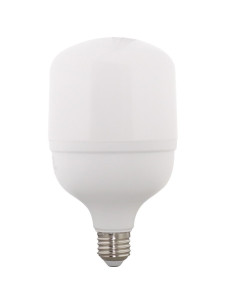 Bec LED 30W, E27, T100, Lumina Alba Rece