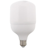 Bec LED 30W, E27, T100, Lumina Alba Rece