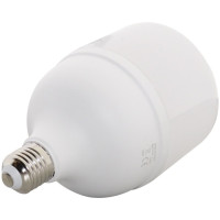 Bec LED 30W, E27, T100, Lumina Alba Rece - 3