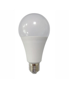 Bec Glob LED A80, 20W, E27, Lumina Alba Rece