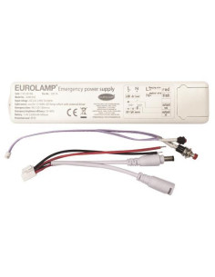 Kit Iluminatul Siguranta/Emergenta 24-80V DC 12-80W 2200Ma