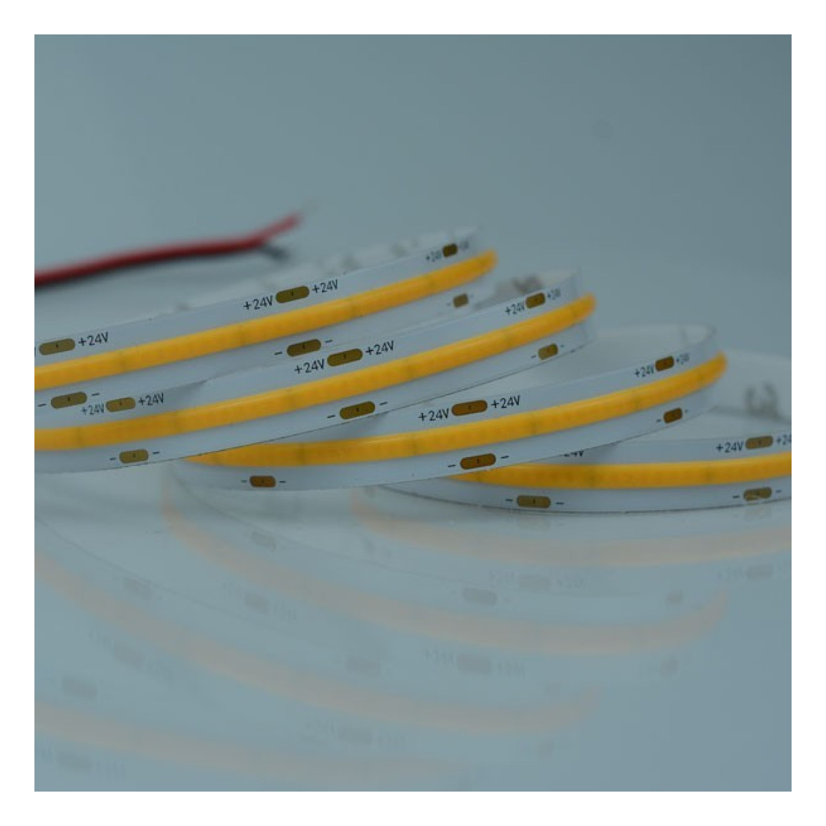 Banda LED COB 5M 16W 24V 6500K IP20 PRO