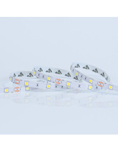 Banda LED SMD 5M 14.4W 12V 6500K IP20
