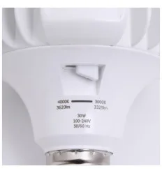 Bec High Power LED 30W E27 CCT