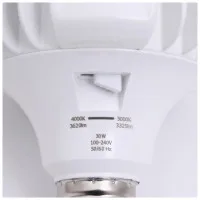 Bec High Power LED 30W E27 CCT 2